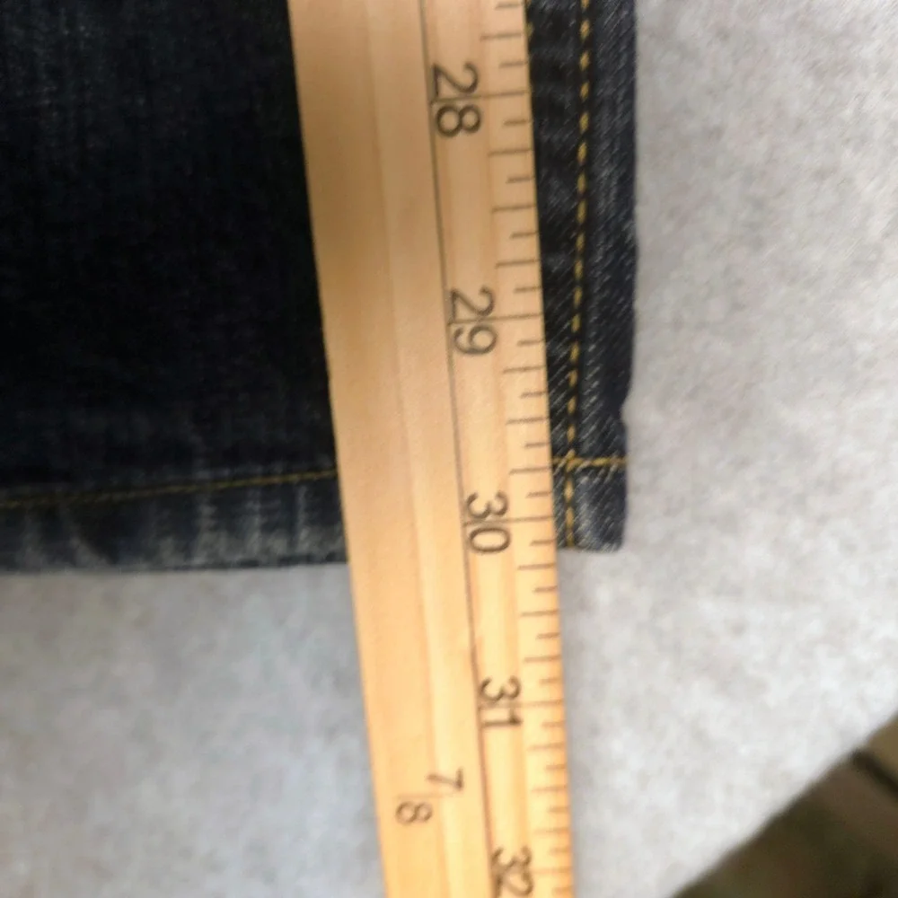 Levis levis 569